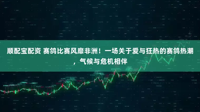 顺配宝配资 赛鸽比赛风靡非洲！一场关于爱与狂热的赛鸽热潮，气候与危机相伴