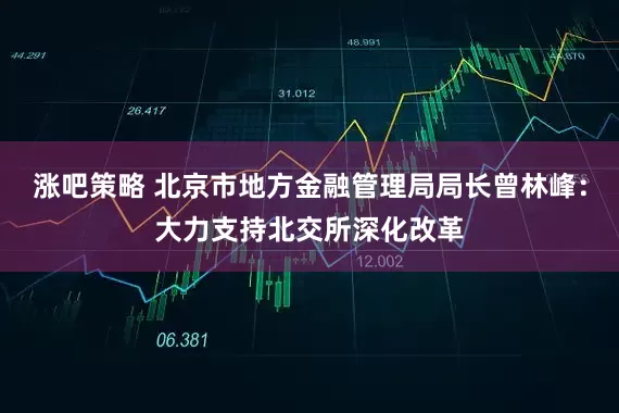涨吧策略 北京市地方金融管理局局长曾林峰:大力支持北交所深化改革